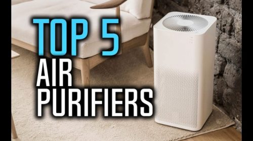 Top Air Purifiers for Your Home and office in India
