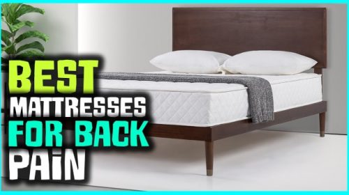 Budgeted and Perfect mattress for back pain