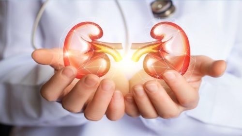 How you can make your kidneys Healthy