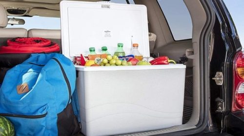 Best car Refrigerators to make your beverages cool during travel