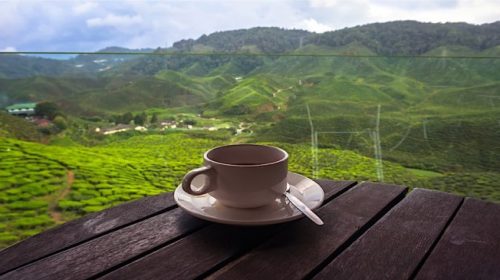 Tea Travel Destinations Everyone Should Visit