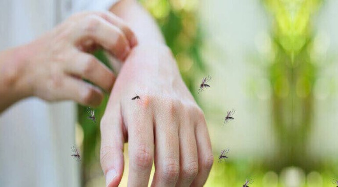 why some people are more likely than others to be bitten by mosquitoes